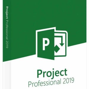 MS Project Professional 2019 (PC) - Bind CD Key - GLOBAL