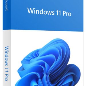 Windows 11 Professional OEM Key