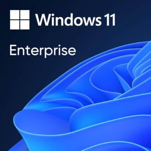 Windows 11 Enterprise CD Key GLOBAL